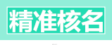 精密電子天平PTX-JA系列